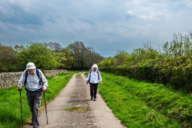 Nearing the road after Summer Wood House