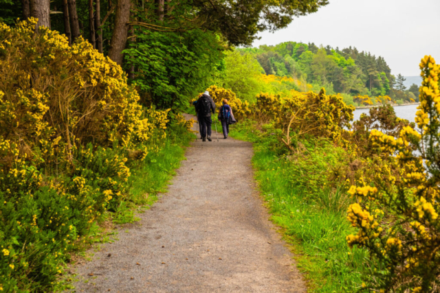 Above the Derwent Reservoir, heading to Cronkley