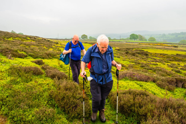 Trying to keep on the footpath  - after Dyke House