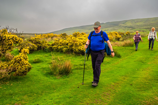 Heading down from the moor