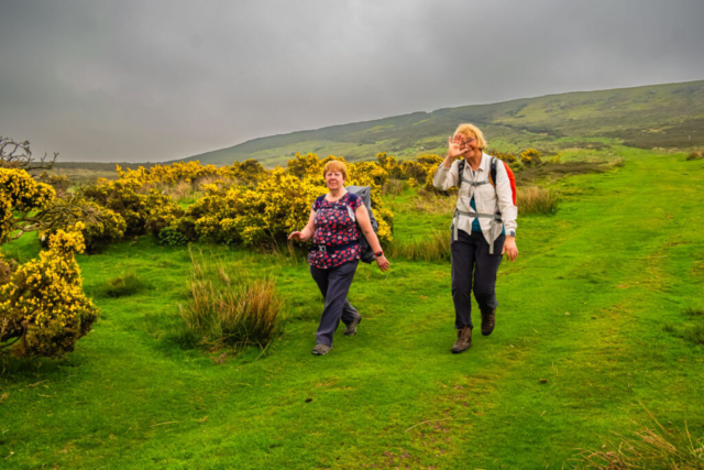 Heading down from the moor