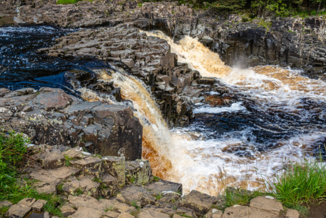 Low Force on return journey