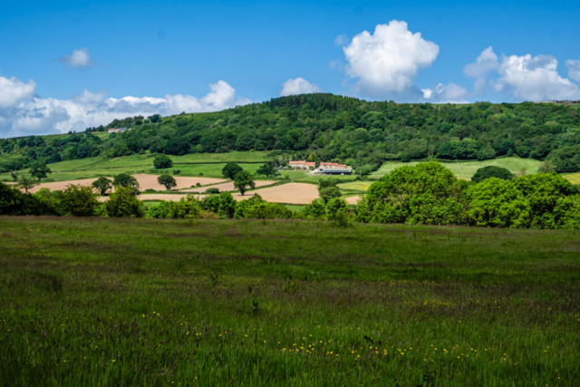 Newbiggin High Farm from edge of Hecks Wood