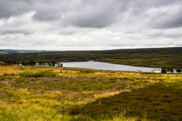 Waskerley Reservoir from the north west