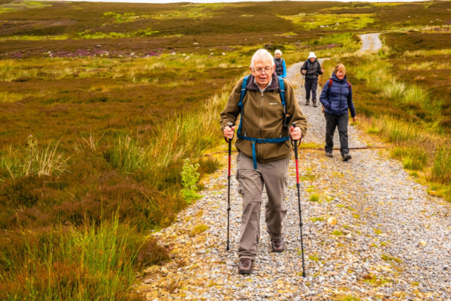 Descending from Collier Law