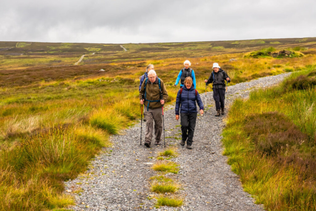 Approaching the Black Burn