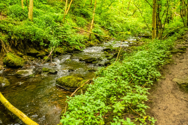 Shittlehope Burn