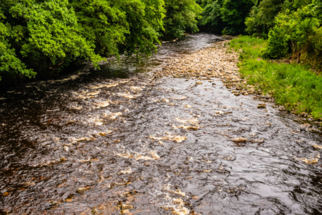 Crossing the R Wear