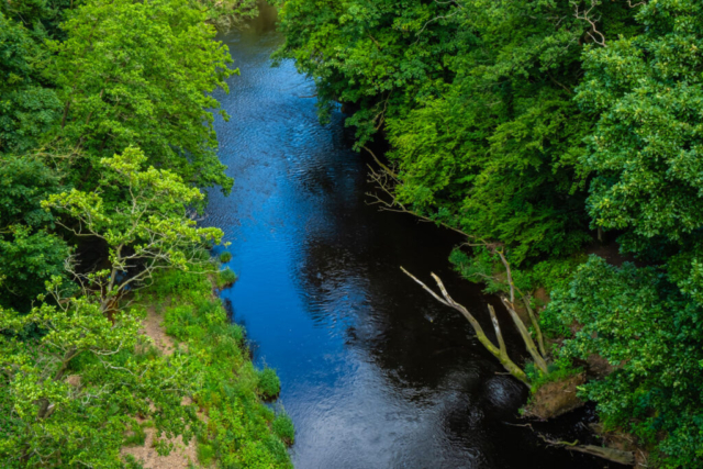 River Nidd from the viaduct