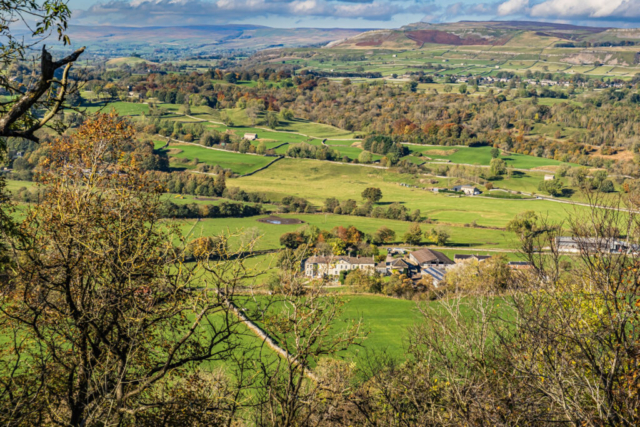 Wensleydale from Morpeth Gate