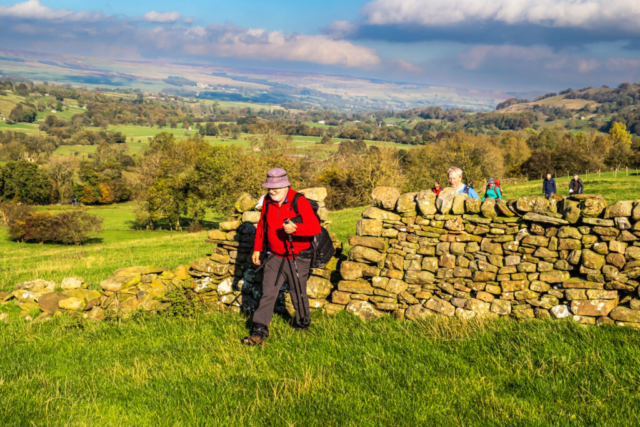 Wensleydale from near Broats