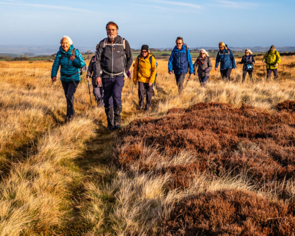 Approaching Long Moss