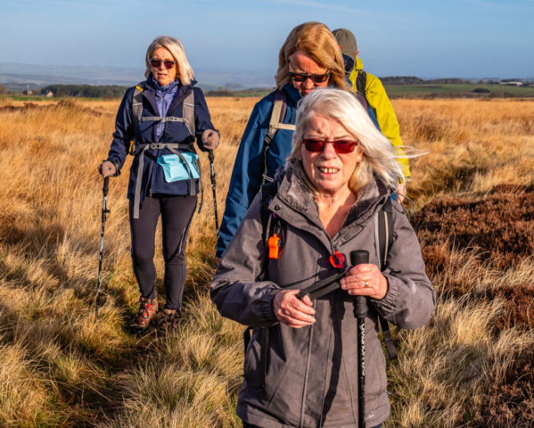 Approaching Long Moss