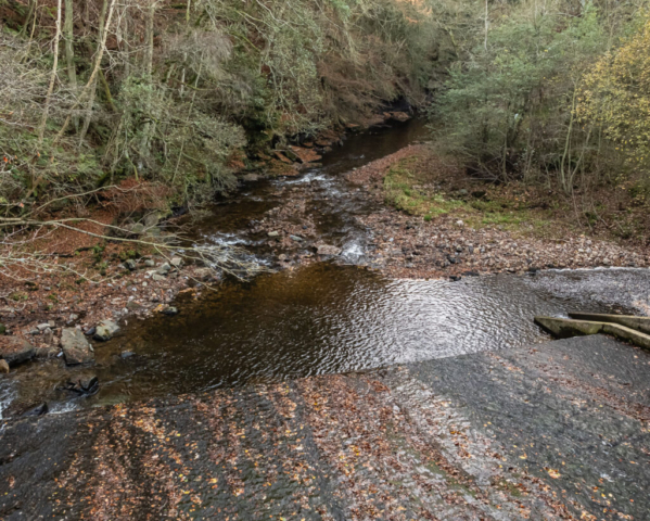 W Allen from bridge at Thornley Gate