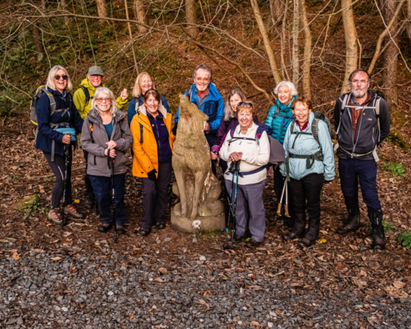 Wolves, just before climb into Allendale