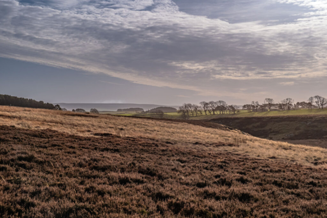 View SE from near Long Moss