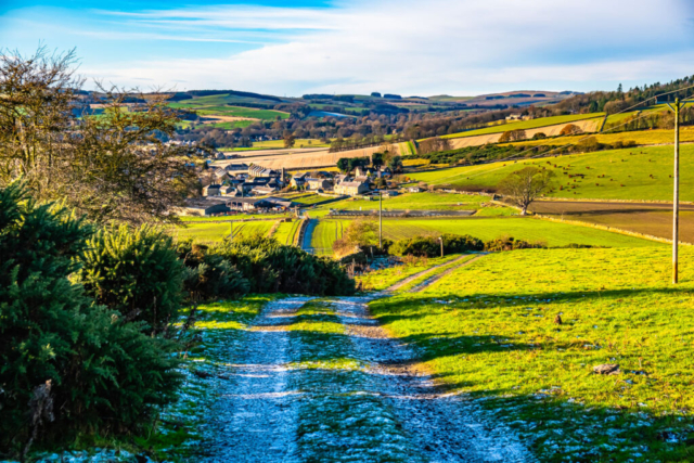 Approach to Fourstones
