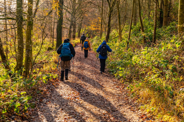 Through the woods above Frankham Fell Quarry