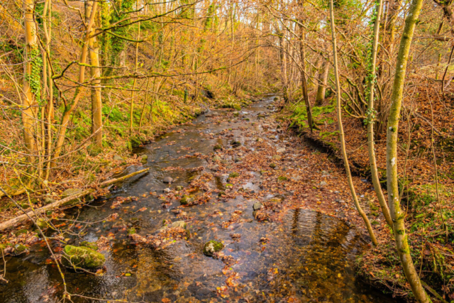 Newborough Burn