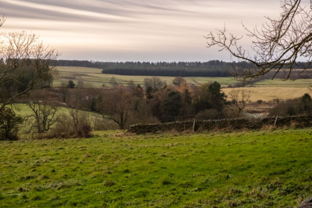 View SW from the approach to Shotleyfield