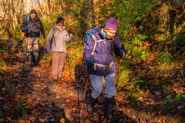 Walking down Hepper Hill Park Wood