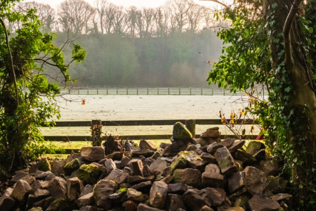 Morning mist south of the site of The Battle of Neville's Cross