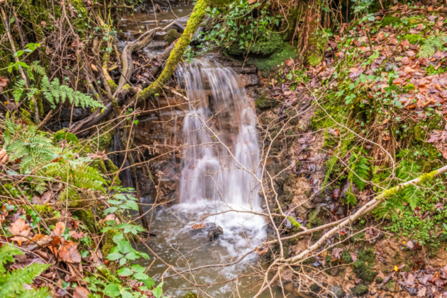 Stream and nature reserve after Shadfen Park