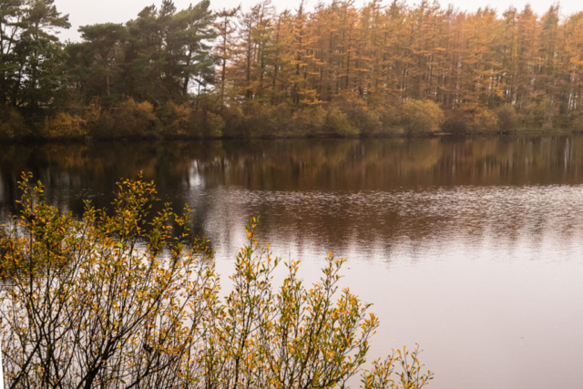 Reservoir south of Castle Carrick