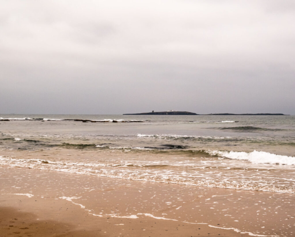 Farne Islands