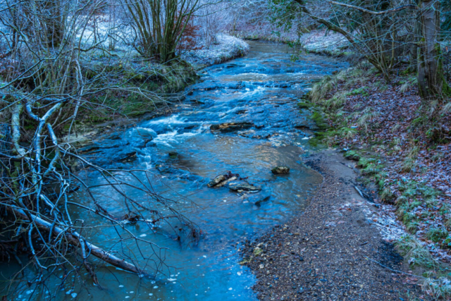 Castle Eden Burn just before the A19
