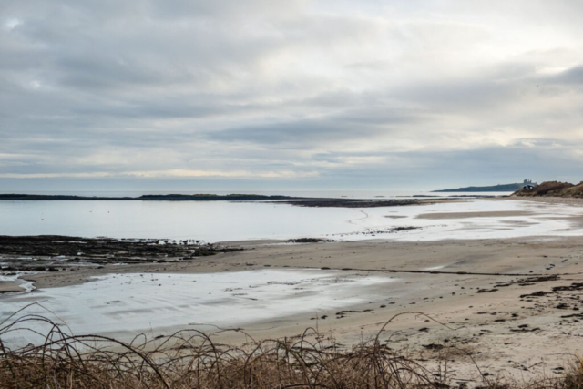 Newton Haven