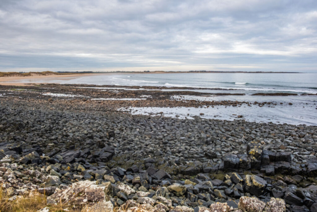 Beadnell Bay - can you spot the harbour?