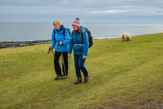 Heading towards Dunstanburgh castle - Nova Scotia