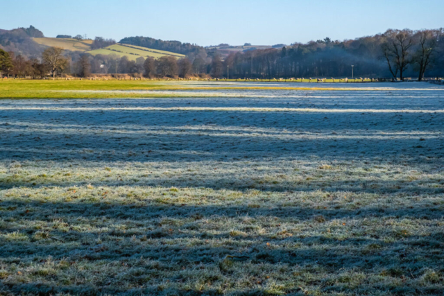 250206 Field between road and river near beltingham