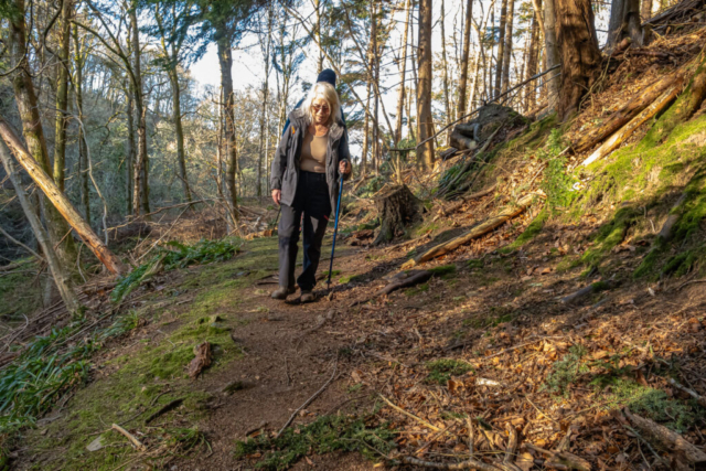 250206 Lost in the woods 3