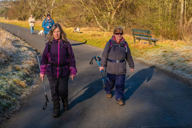 250206 Road to Beltingham (3)