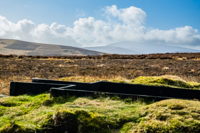 A distant Cheviot from a spot near Gains Law