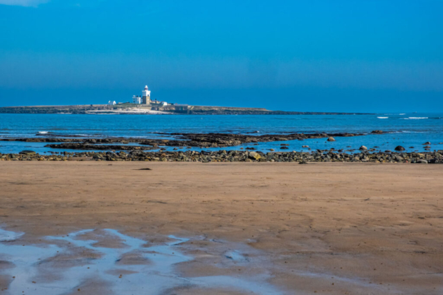 Coquet Island from beach NW of Hauxley Haven