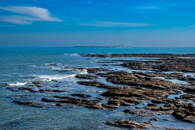 Coquet Island from the south jetty