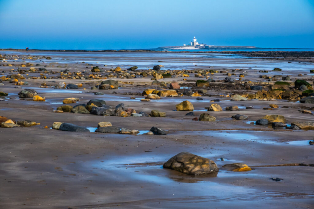Coquet Island from beach at Low Hauxley