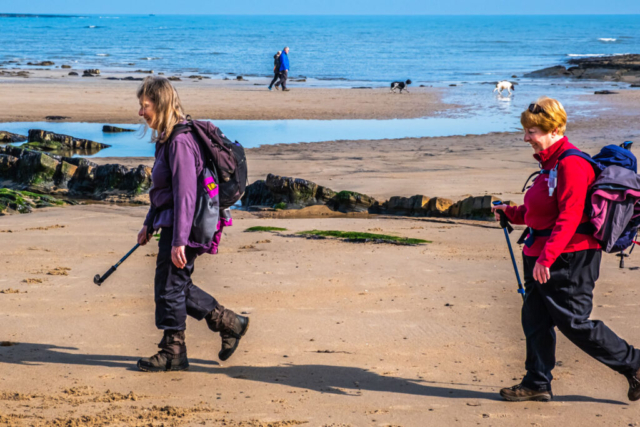 Beach NW of Hauxley Haven
