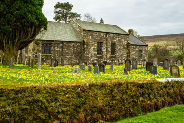 Church Houses church with the beautiful display of daffs