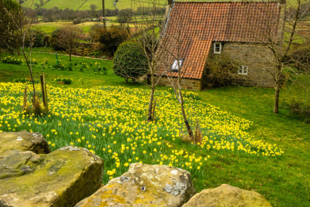 Cragg Cottage