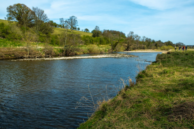 R Ure east of Wensley