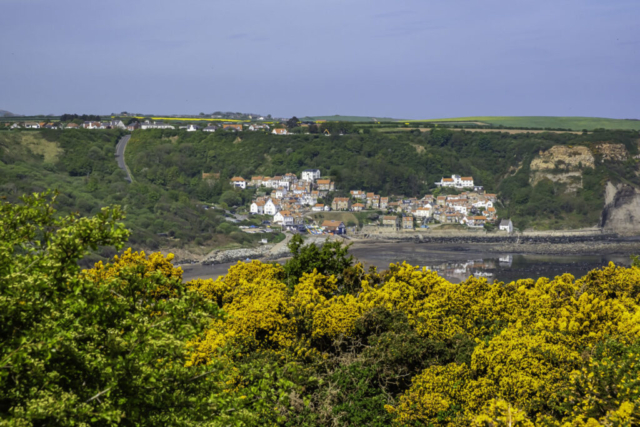 Runswick Bay from High Cliff