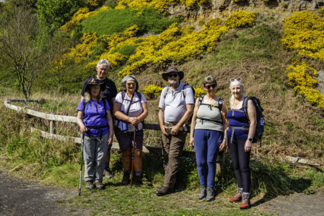 Group under the gorse at Over Dale (with Phil)