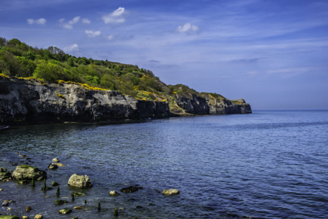 View north from Sandsend
