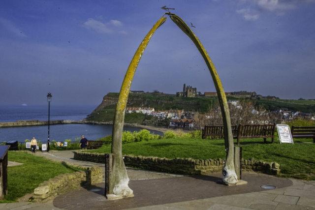 Whitby (note the flies again)