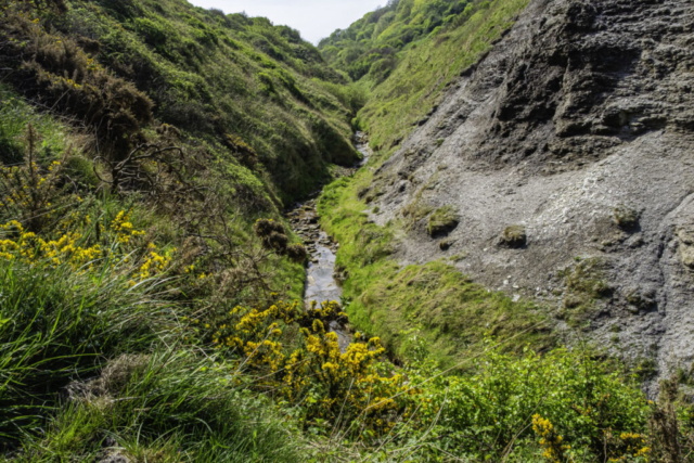 The climb out of Runswick Bay