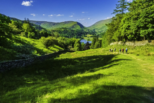 Descent to Grasmere via Redbank Woor - Helm Crag in background